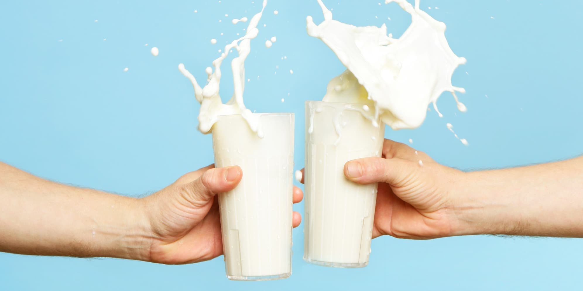 Sunshine Dairy Wins A Free Year of TrueTour!