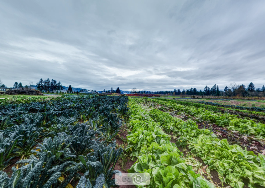 Farm Image from TrueTour
