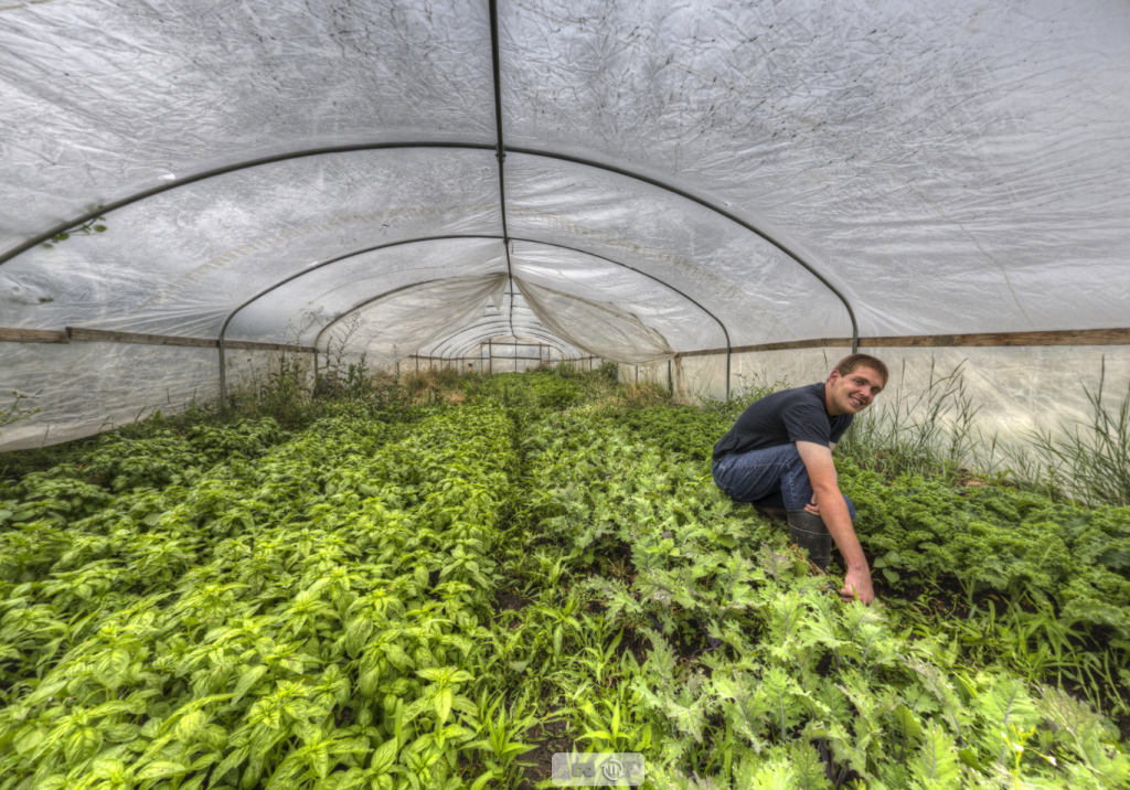 immersive farm to table greenhouse 360