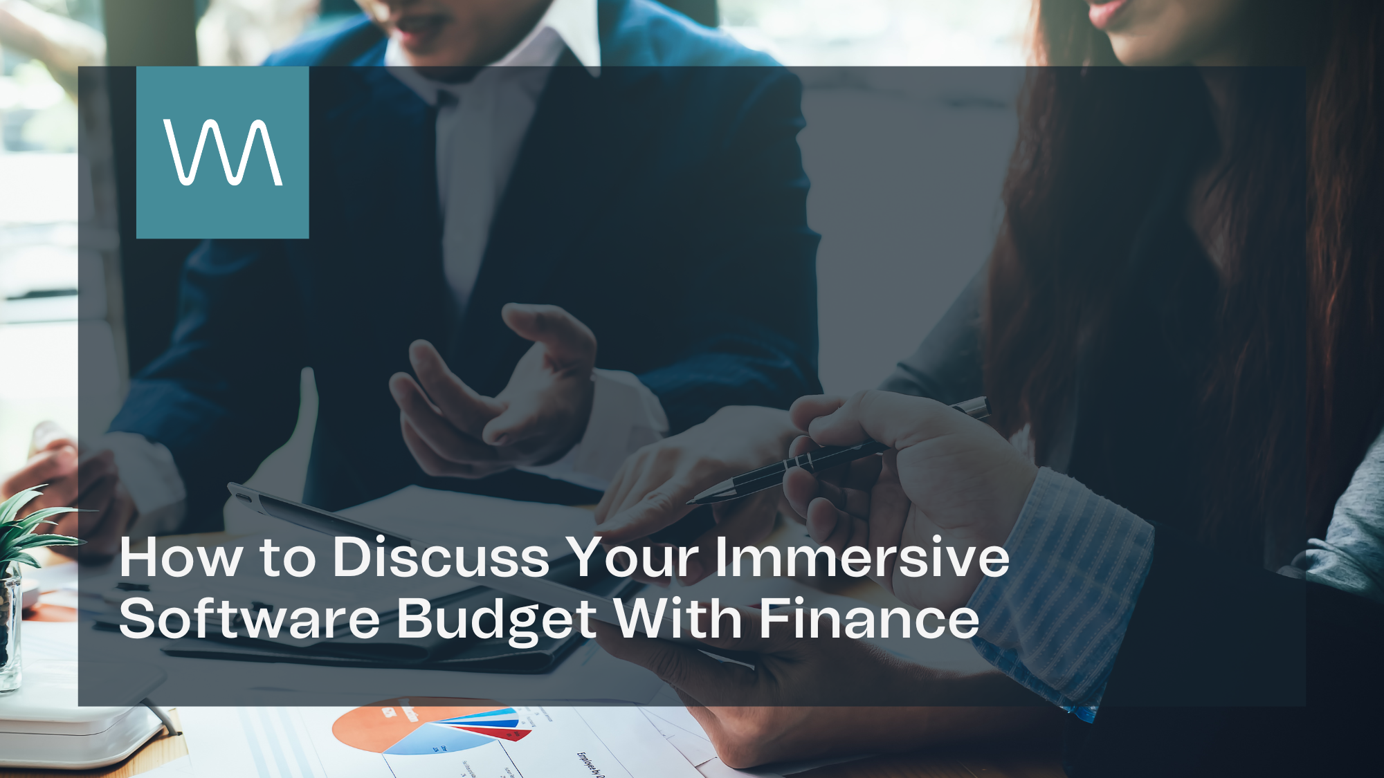 Immersive Software Budget
